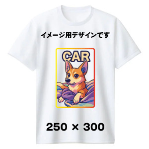 4.4オンス ドライT（小・大ロゴ／白黒）［2XL〜対応］
