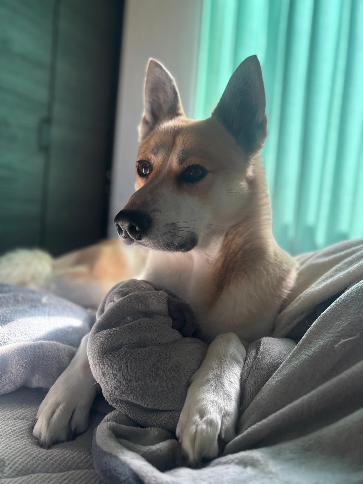 お客様提供写真